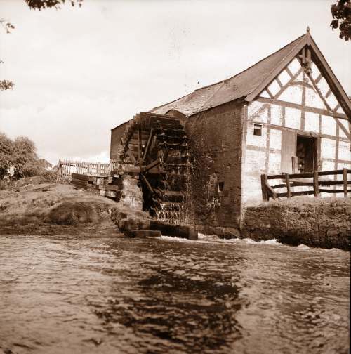 Collection of negatives belonging to Miss K. L. Lyon