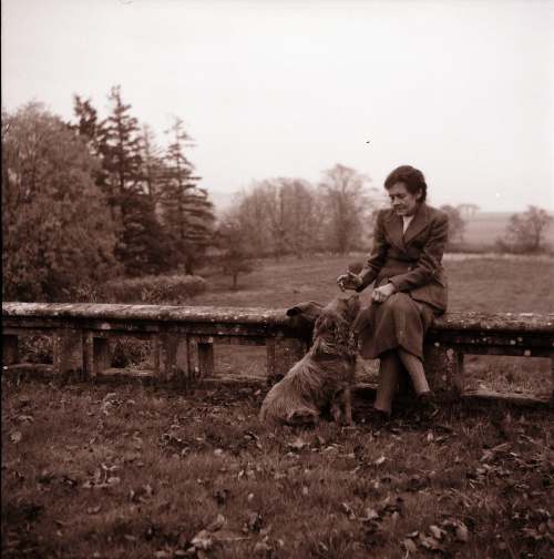 Collection of negatives belonging to Miss K. L. Lyon