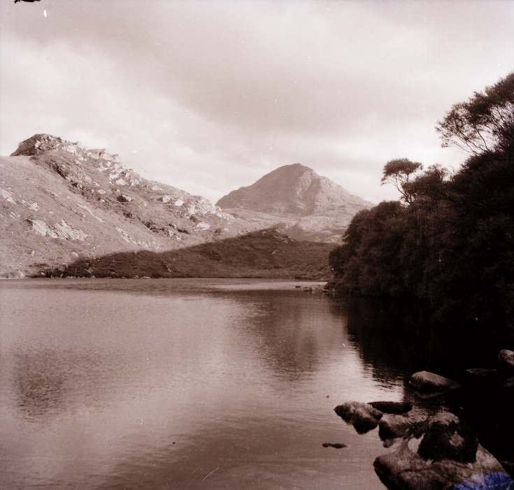 Collection of negatives belonging to Miss K. L. Lyon