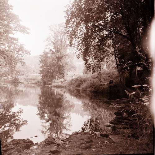 Collection of negatives belonging to Miss K. L. Lyon