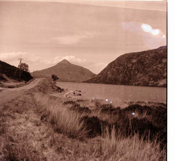 Collection of negatives belonging to Miss K. L. Lyon