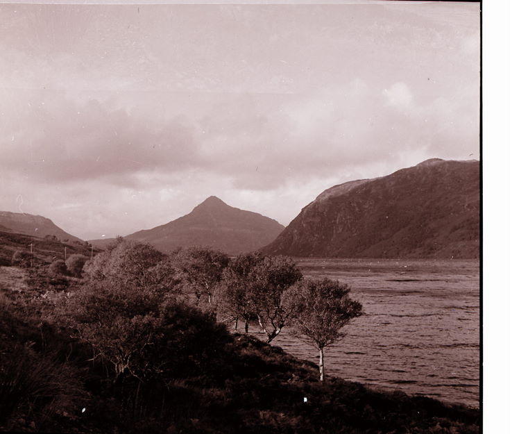 Collection of negatives belonging to Miss K. L. Lyon