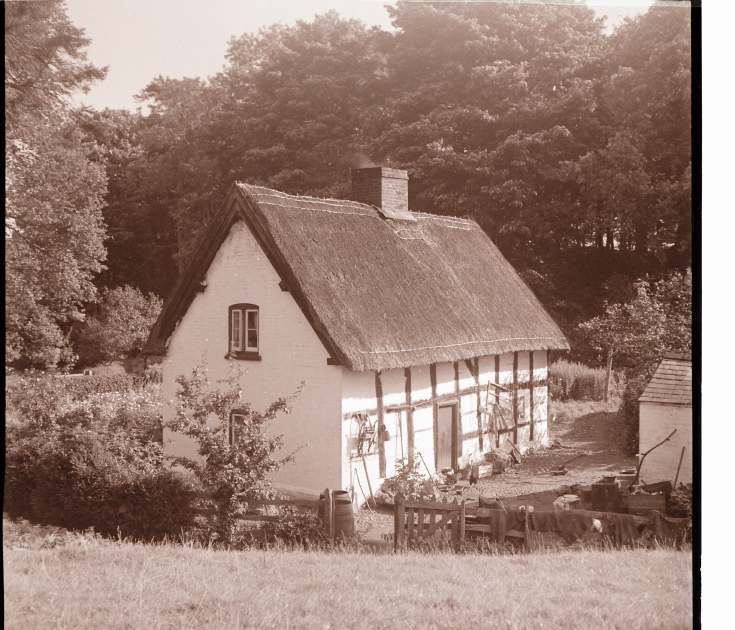 Collection of negatives belonging to Miss Lyon