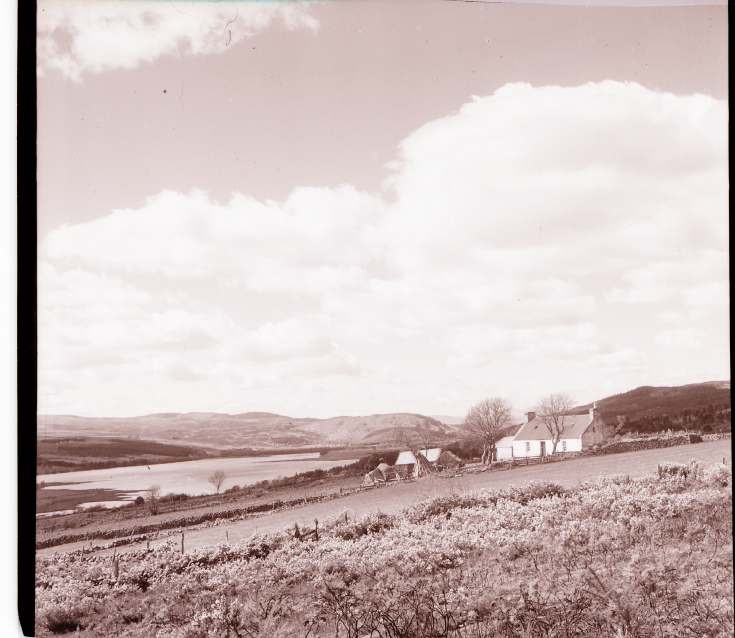 Collection of negatives belonging to Miss K. L. Lyon