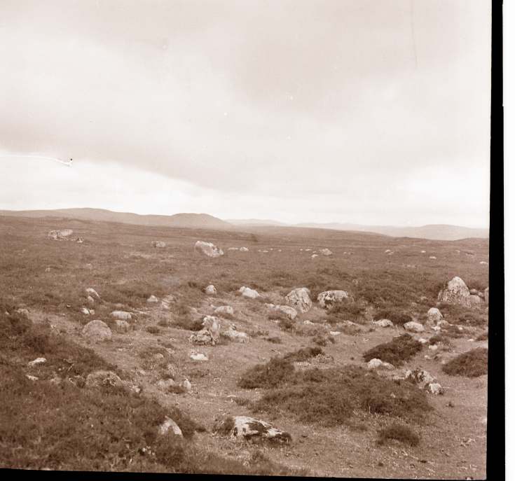 Collection of negatives belonging to Miss K. L. Lyon