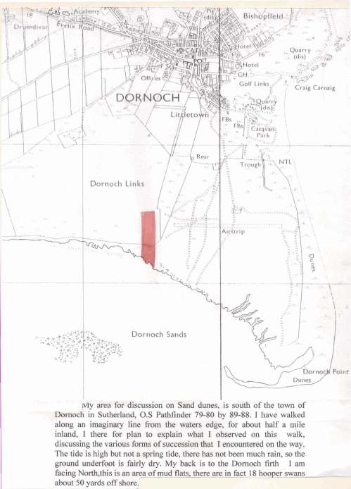 Ecology, wildlife and plantlife at the edge of Dornoch Firth