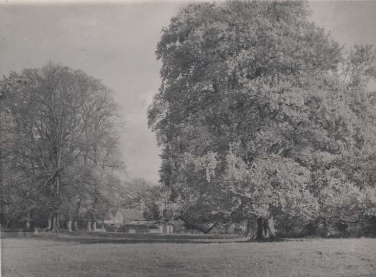 The Photography of Kathleen Lyon