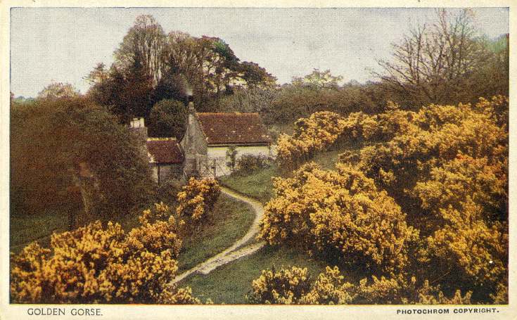 Furness Postcard Collection - Dornoch Area
