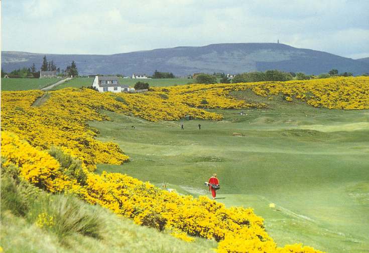 Furness Postcard Collection - Golf course Dornoch