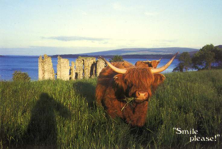 Furness Postcard Collection - Spinningdale