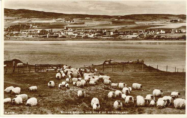 Furness Postcard Collection - Bonar Bridge from the south