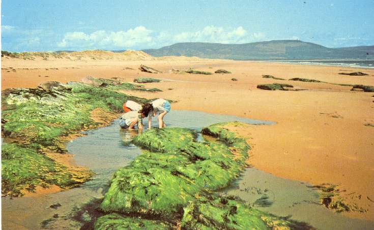 Furness Postcard Collection - Embo Sands