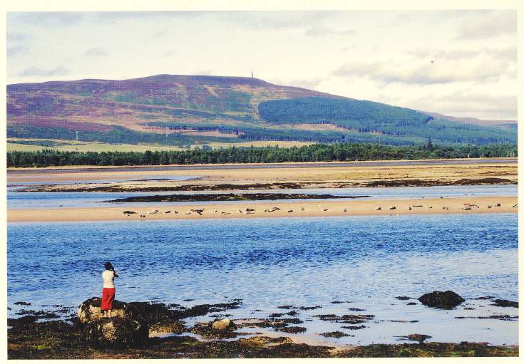 Furness Postcard Collection - Loch Fleet