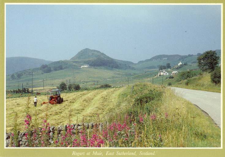 Furness Postcard Collection - Rogart at Muie