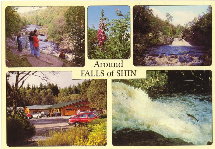 Furness Postcard Collection - Falls of Shin