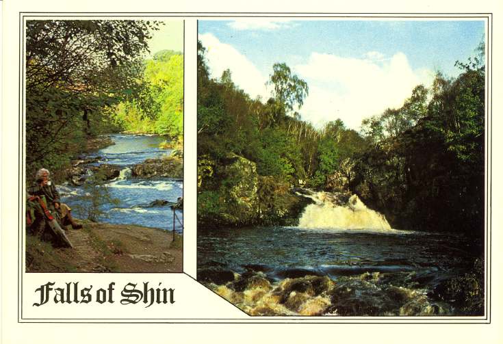 Furness Postcard Collection - Falls of Shin