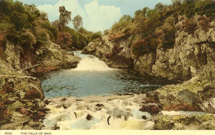 Furness Postcard Collection - Falls of Shin