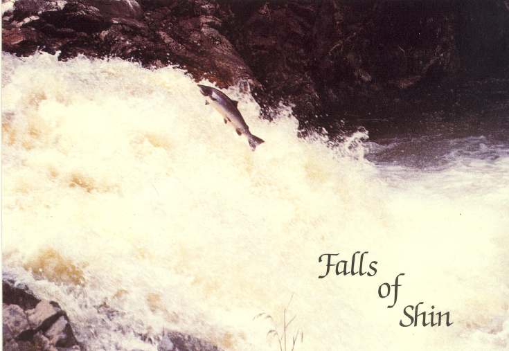Furness Postcard Collection - Falls of Shin
