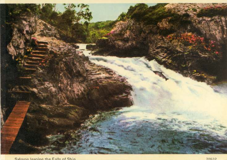 Furness Postcard Collection - Falls of Shin