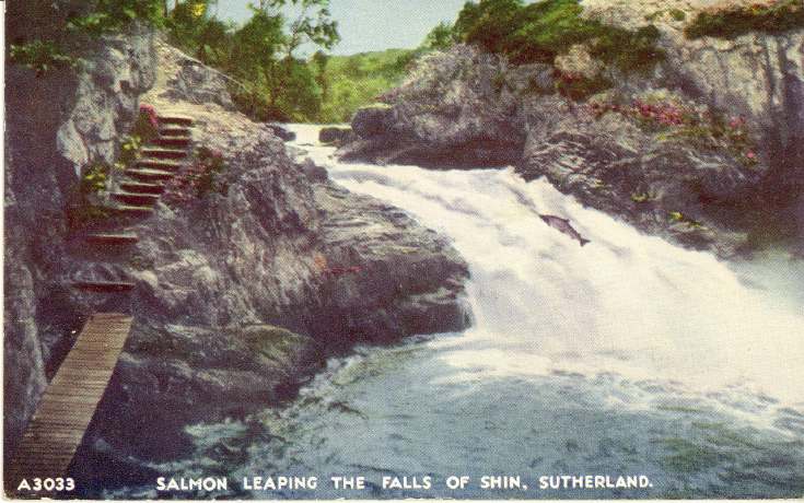 Furness Postcard Collection - Falls of Shin