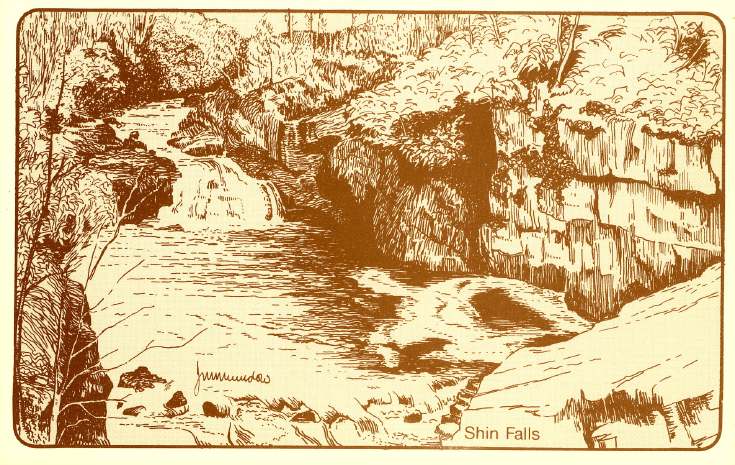 Furness Postcard Collection - Drawing of the Shin Falls