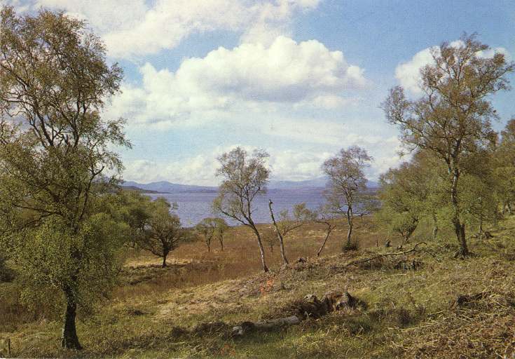 Furness Postcard Collection - Loch Shin