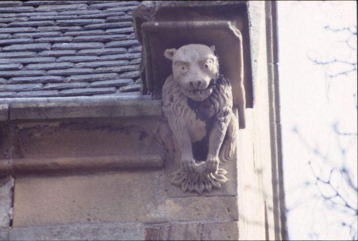 Dornoch Cathedral ~ Gargoyles