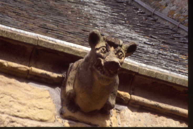 Dornoch Cathedral ~ Gargoyles
