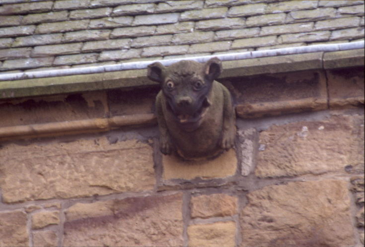 Dornoch Cathedral ~ Gargoyles