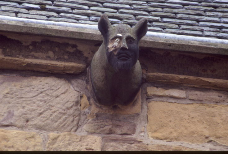 Dornoch Cathedral ~ Gargoyles