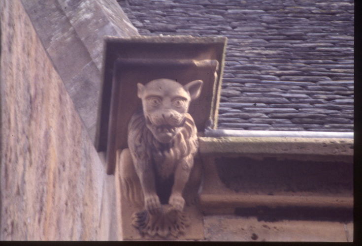 Dornoch Cathedral ~ Gargoyles