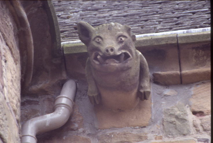 Dornoch Cathedral ~ Gargoyles