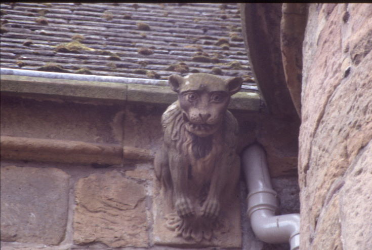 Dornoch Cathedral ~ Gargoyles