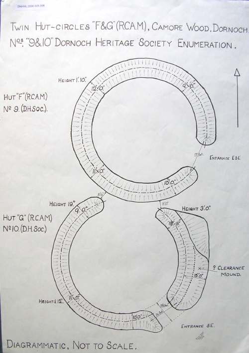 Hut circles ~ Camore Wood