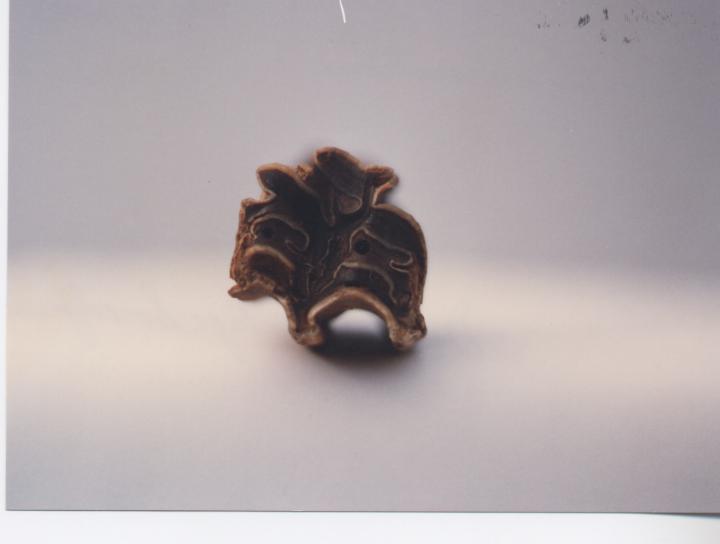 Horse bone from Embo horse skeleton 1992