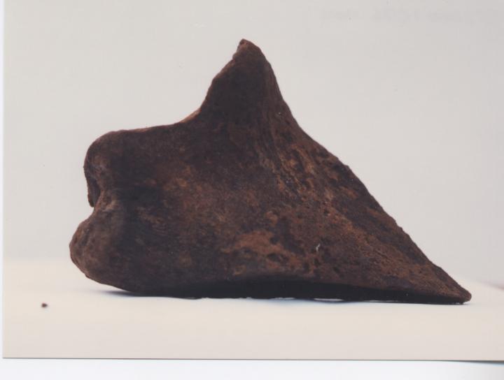 Part of horse skeleton unearthed at Embo