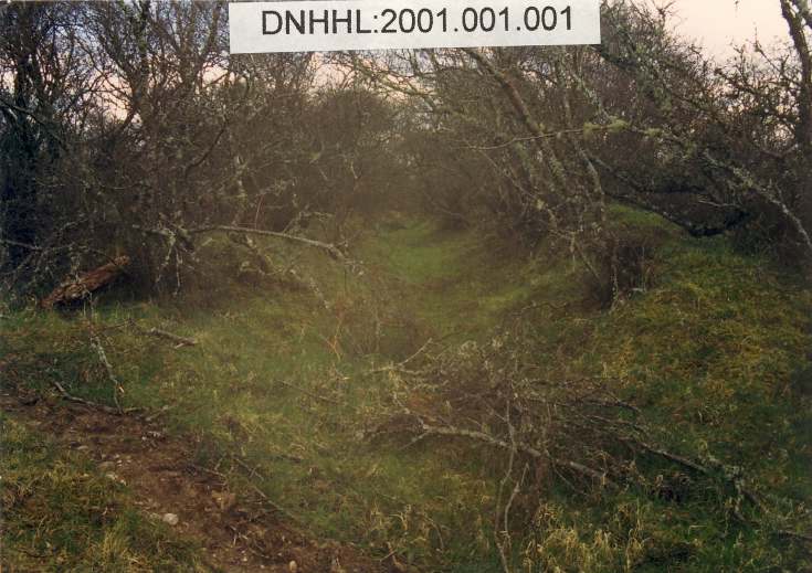 Monk's Canal, Rearquhar