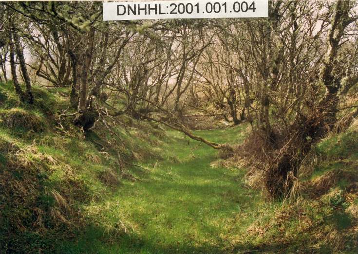 Monk's Canal, Rearquhar