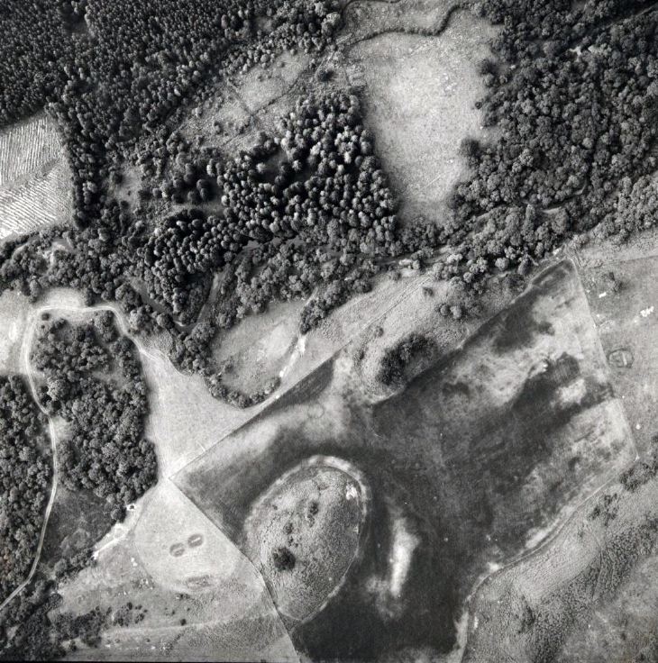 Aerial photograph of ring ditch at Cyderhall