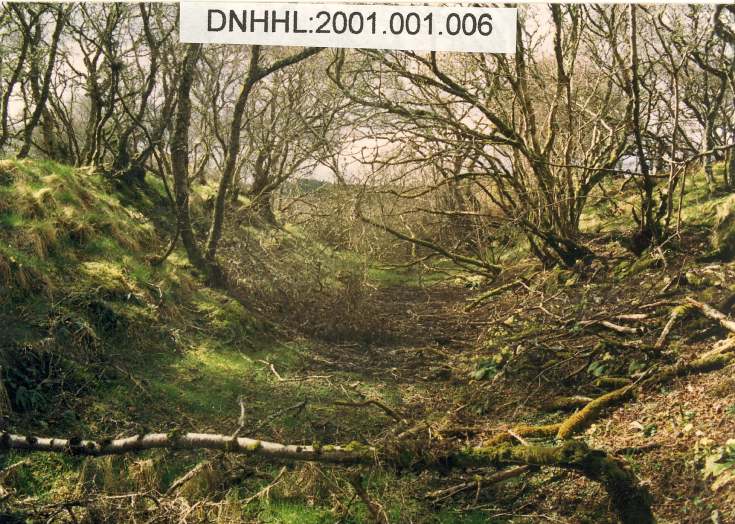 Monk's Canal, Rearquhar