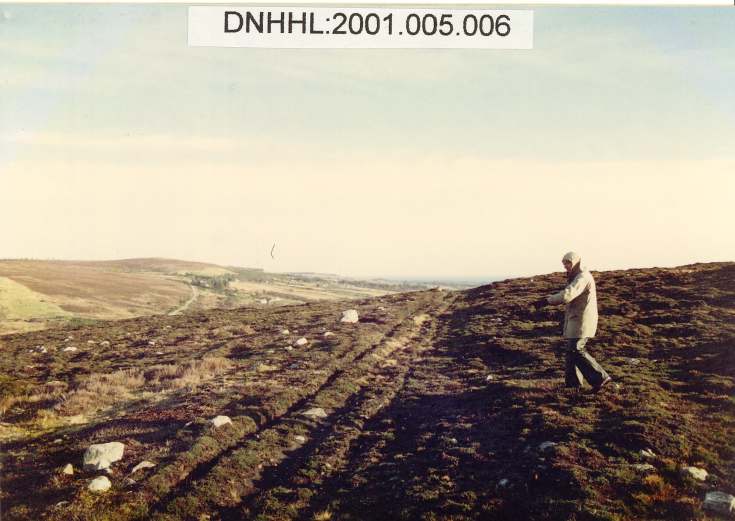 Crask settlement and Creagan Asdale hut circle