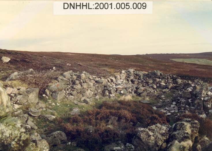 Crask settlement and Creagan Asdale hut circle