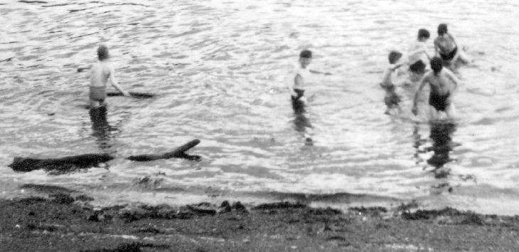 Scouts swimming