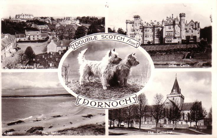 Double Scotch from Dornoch
