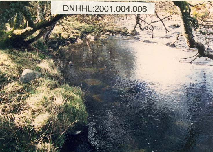 Mill-hill watermill