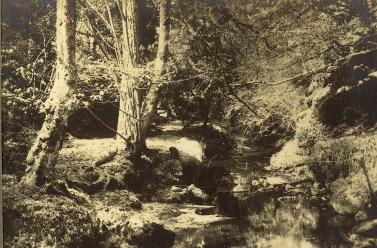 Skelbo Glen near Dornoch