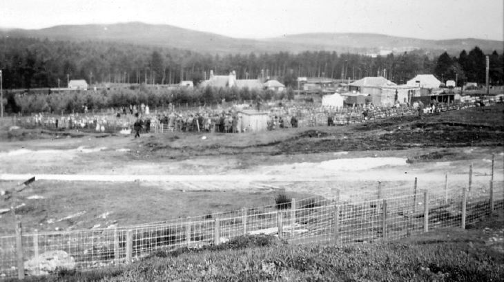 Lairg Sheep Sales - overview of site