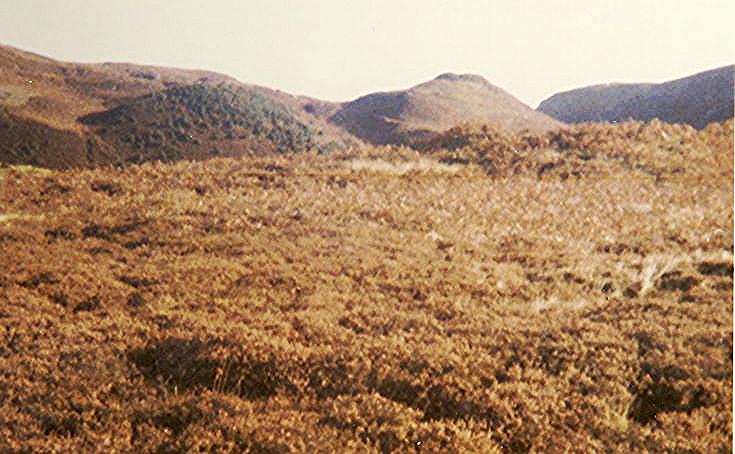 Allt an Dun Broch, Skelpick