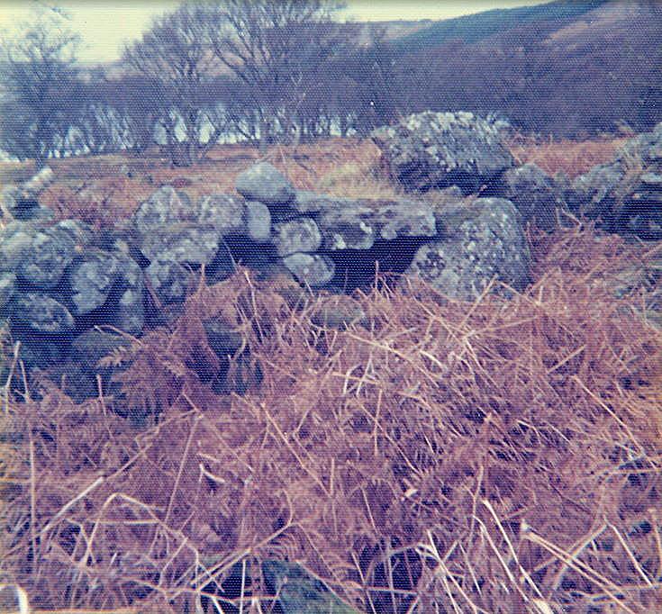 Chambered Tomb at Air nam Ban, Strath Brora