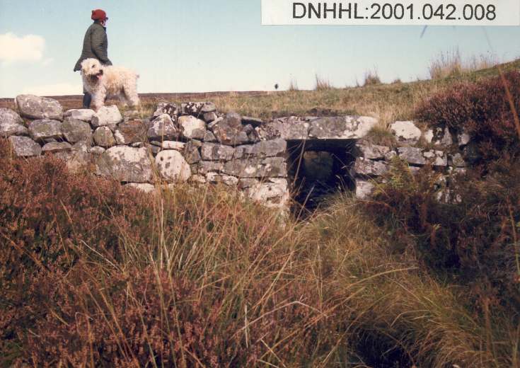 Cnoc Garbh-airigh
